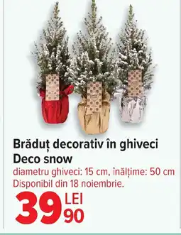Carrefour Brăduț decorativ în ghiveci Deco snow Ofertă
