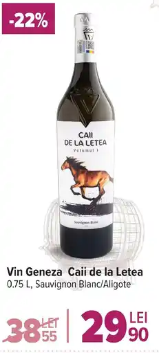 Carrefour Market Vin Geneza Caii de la Letea Ofertă