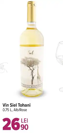 Carrefour Market Vin Siel Tohani Ofertă