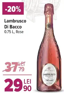 Carrefour Market Lambrusco Di Bacco Ofertă