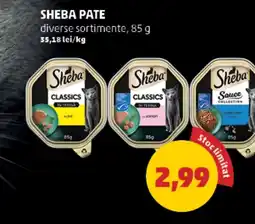 Penny Sheba pate Ofertă