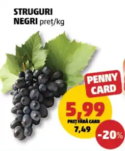 Penny STRUGURI NEGRI Ofertă