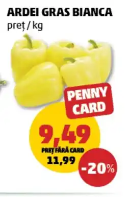 Penny Ardei gras bianca Ofertă