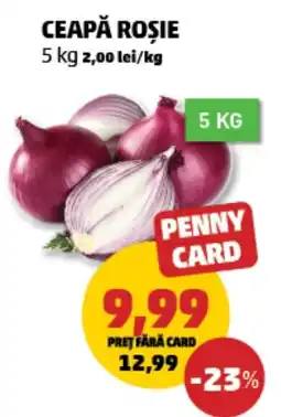 Penny Ceapă roșie Ofertă