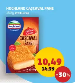 Penny Hochland cascaval pane Ofertă