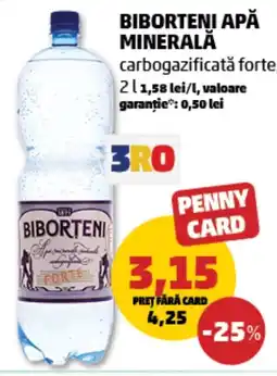Penny Biborteni apă minerală Ofertă