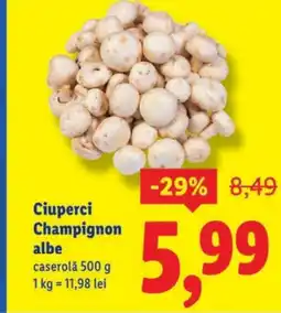 Lidl Ciuperci Champignon albe caserolǎ Ofertă