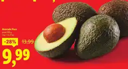 Lidl Avocado Hass plasǎ Ofertă