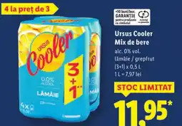 Lidl Ursus Cooler Mix de bere Ofertă