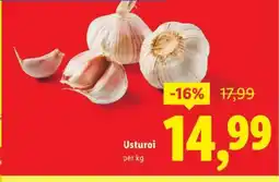 Lidl Usturoi Ofertă