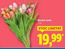 Lidl Buchet lalele Ofertă