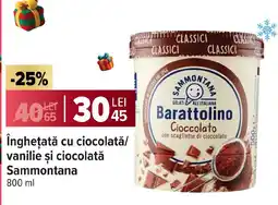 Carrefour Îngheţată cu ciocolată/ vanilie şi ciocolată Sammontana Ofertă