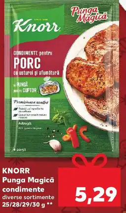 Kaufland KNORR Punga Magică condimente Ofertă
