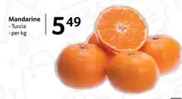 Selgros Mandarine Ofertă