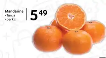 Selgros Mandarine Ofertă
