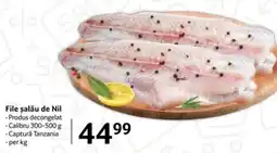 Selgros File şalău de Nil Ofertă