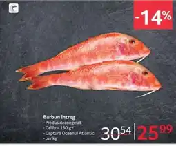 Selgros Barbun întreg Ofertă