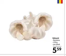 Selgros Usturoi Ofertă