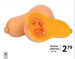 Selgros Dovleac plăcintar Ofertă