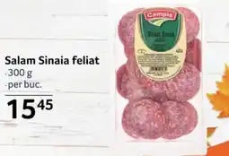 Selgros Campis Salam Sinaia feliat Ofertă