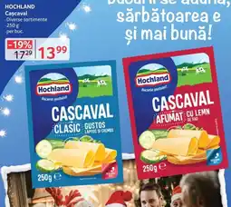 Selgros HOCHLAND Cascaval Ofertă