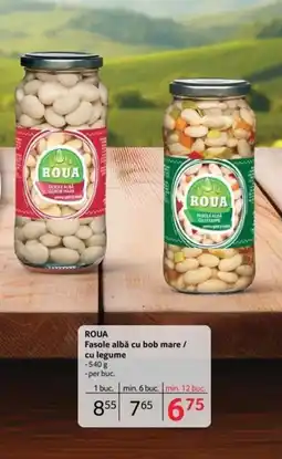 Selgros ROUA Fasole albă cu bob mare / cu legume Ofertă