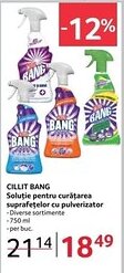 Selgros CILLIT BANG Soluţie pentru curățarea suprafețelor cu pulverizator Ofertă
