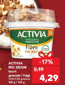 Kaufland ACTIVIA MIC DEJUN laurt granola / fulgi Ofertă