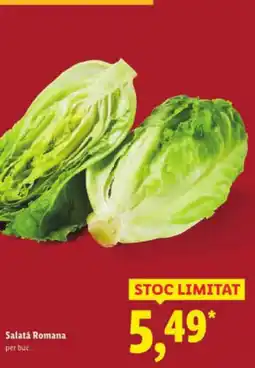 Lidl Salata Romana Ofertă