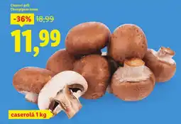 Lidl Ciuperci grill Champignon brune Ofertă