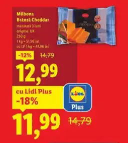 Lidl Milbona Brânză Cheddar Ofertă