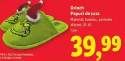 Lidl Grinch Papuci de casă Ofertă