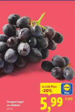 Lidl Struguri negri cu sâmburi Ofertă
