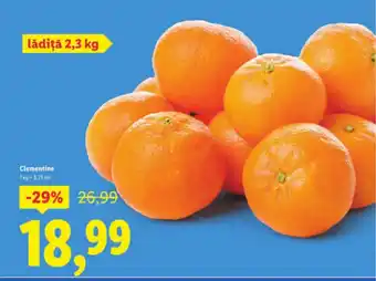 Lidl Clementine Ofertă