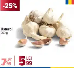Carrefour Usturoi Ofertă
