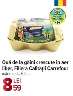 Carrefour Ouă de la găini crescute în aer liber, Filiera Calităţii Carrefour Ofertă