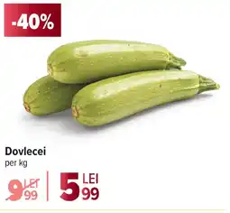 Carrefour Dovlecei Ofertă