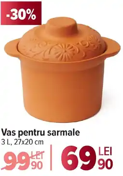 Carrefour Vas pentru sarmale Ofertă