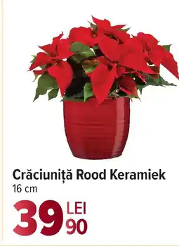 Carrefour Crăciuniță Rood Keramiek Ofertă