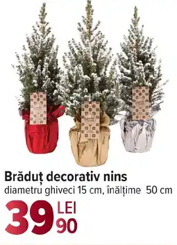 Carrefour Brăduț decorativ nins Ofertă