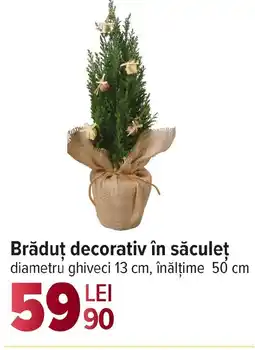 Carrefour Brăduț decorativ în săculeţ Ofertă