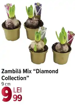Carrefour Zambilǎ Mix "Diamond Collection" Ofertă