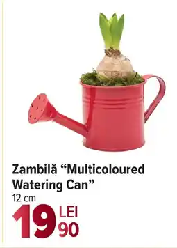 Carrefour Zambilă "Multicoloured Watering Can" Ofertă