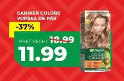 Simos Garnier colors vopsea de pår Ofertă