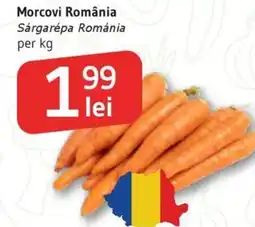 Supeco Morcovi România Ofertă