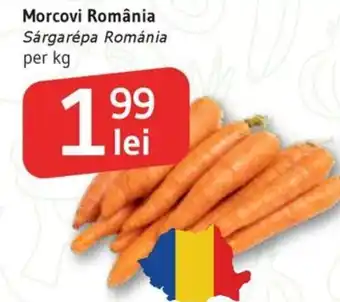 Supeco Morcovi România Ofertă