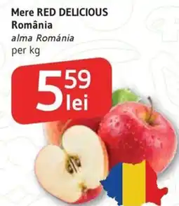 Supeco Mere RED DELICIOUS România Ofertă
