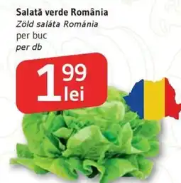 Supeco Salată verde România Ofertă