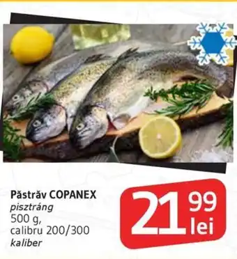 Păstrǎv COPANEX