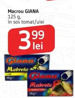 Supeco Macrou GIANA Ofertă